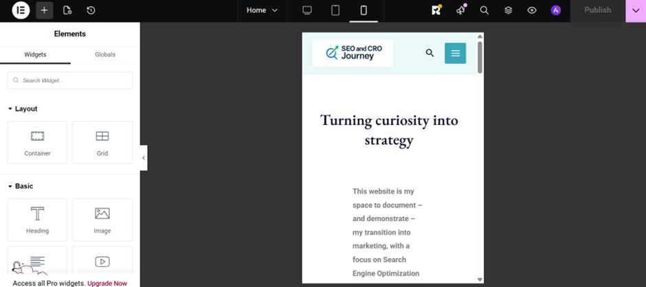 Building My First Website with WordPress and Astra image